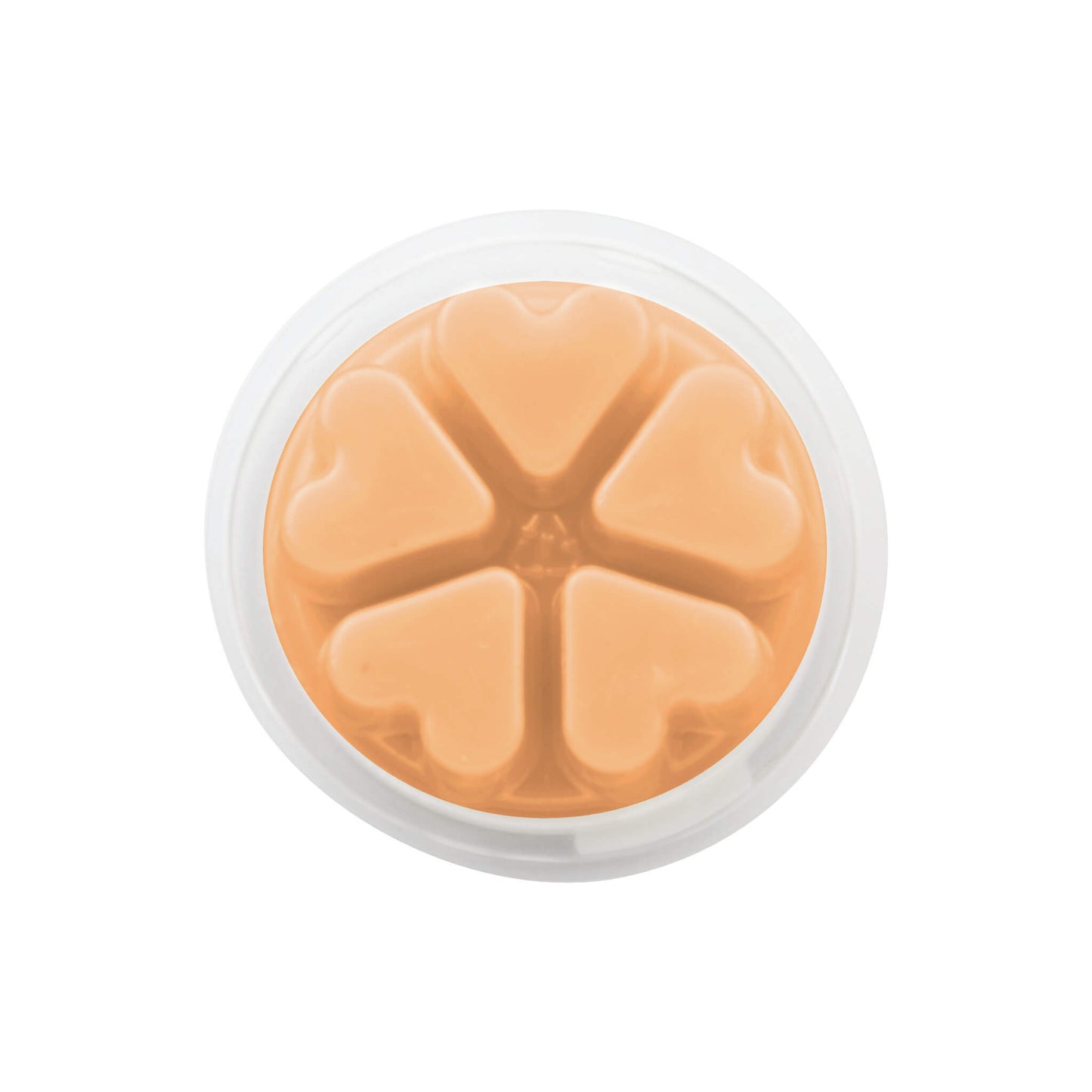 Leather and Tobacco Wax Melt