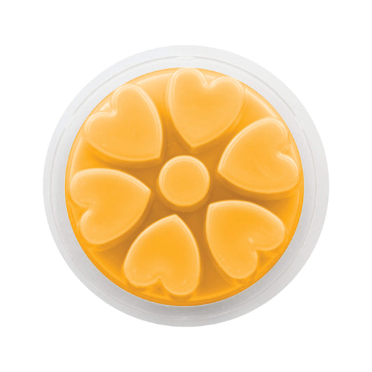 Orange and Cinnamon Wax Melt