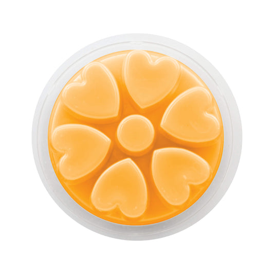 Pomegranate, Mandarin & Amber Wax Melt