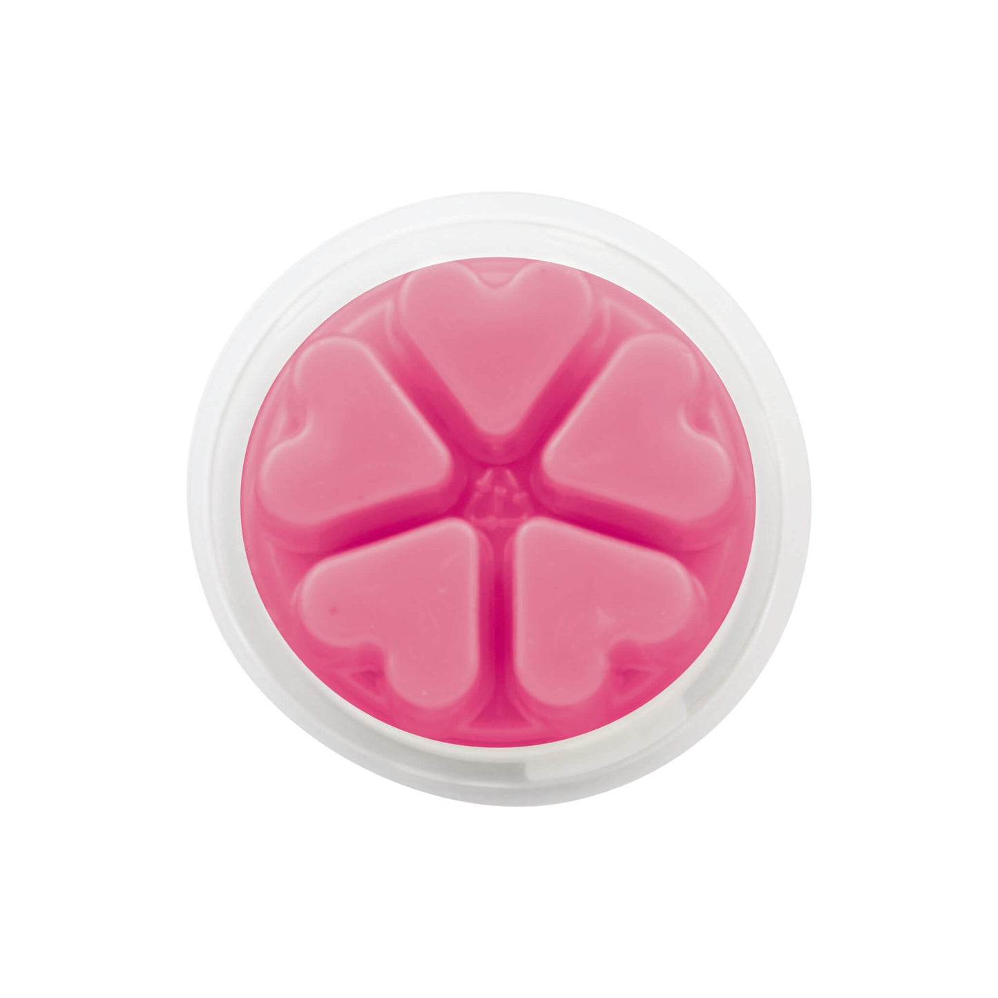 Rosey Wonderland Wax Melt